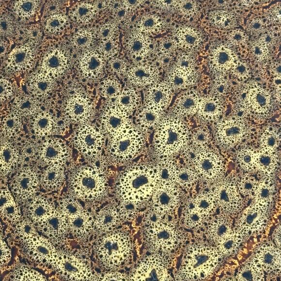 Jaclyn Smith Today Series Mottled Brown Pattern Coffee Mugs Set of 2 - Picture 2 of 10